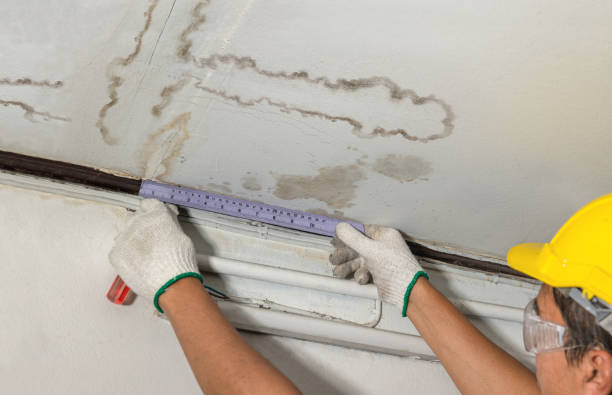 Reliable Structural Drying contractor in Sherman, IL by Water Damage Irwin